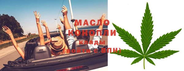 прущие грибы Вязники