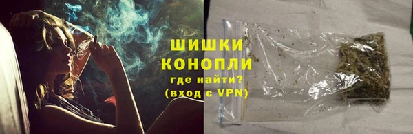 прущие грибы Вязники