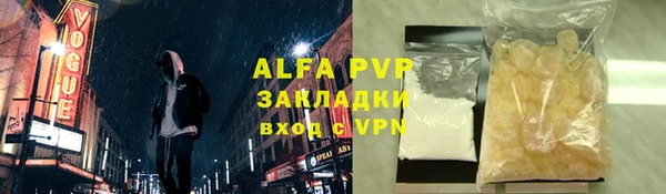 прущие грибы Вязники