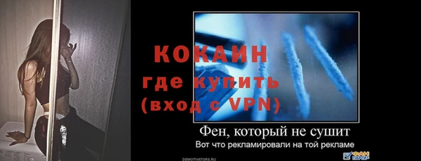 прущие грибы Вязники