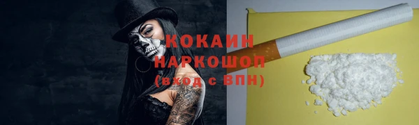 прущие грибы Вязники