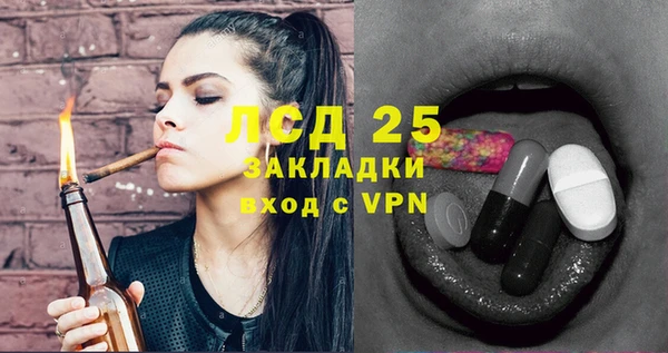 прущие грибы Вязники