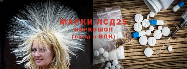 прущие грибы Вязники