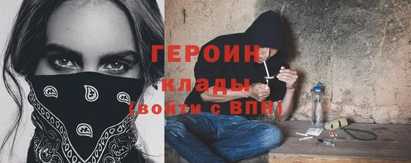 прущие грибы Вязники
