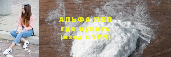 прущие грибы Вязники