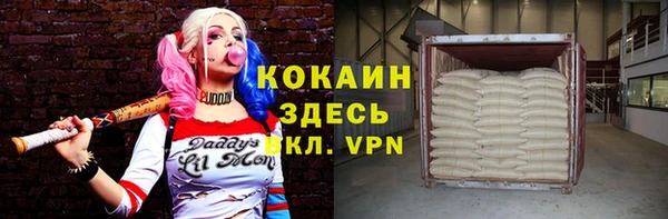 МДПВ Михайлов